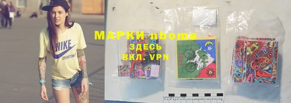 СК Куйбышев