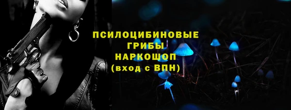 дживик Кулебаки