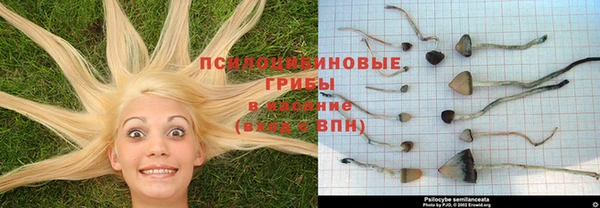 меф Кукмор