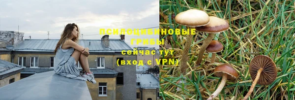 дживик Кулебаки