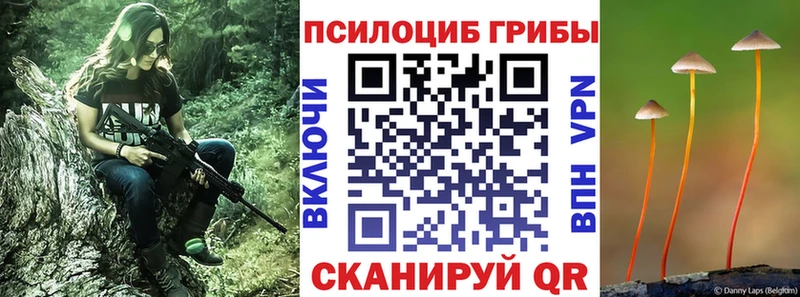 Купить где  Похвистнево  Галлюциногенные грибы мухоморы 